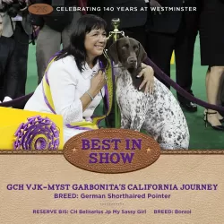 140th Westminster Kennel Club Dog Show