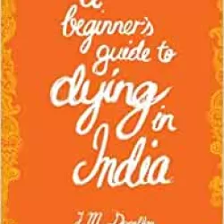 A Beginner's Guide to India