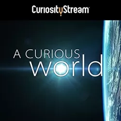 A Curious World