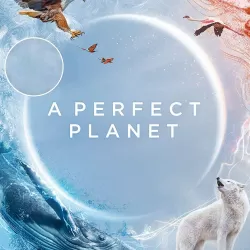 A Perfect Planet