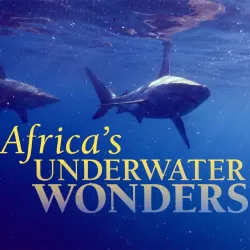 Africa's Underwater Wonders