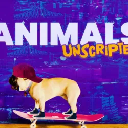 Animals Unscripted