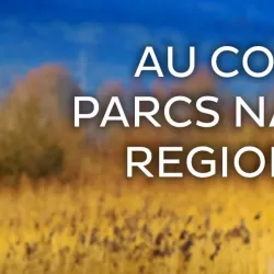 Au coeur des parcs naturels régionaux de France