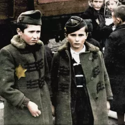 Auschwitz Untold: In Colour