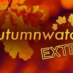 Autumnwatch Extra