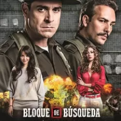 Bloque de búsqueda