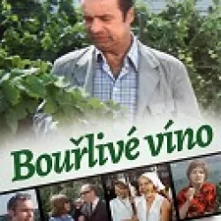 Bouřlivé víno