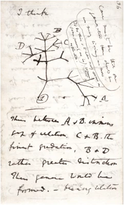 Charles Darwin and the Tree of Life