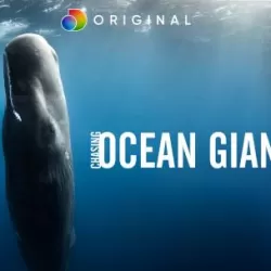 Chasing Ocean Giants