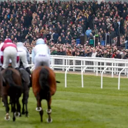 Cheltenham Festival Horse Racing