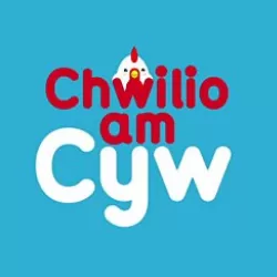 Chwilio Am Cyw