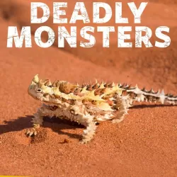 Deadly Australians