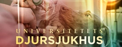 Djursjukhuset