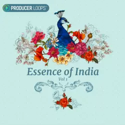 Essence of India