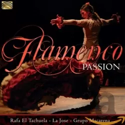 Flamenco Passion