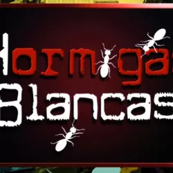 Hormigas blancas