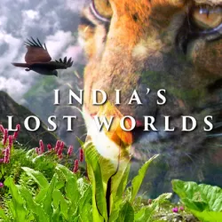 India's Lost Worlds