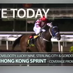 Live: Hong Kong Horse Racing