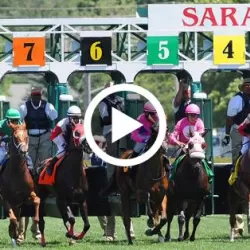 Live: Horse Racing