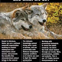 Living with Wolves