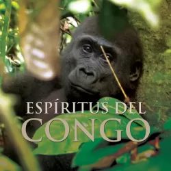 Los espíritus del Congo