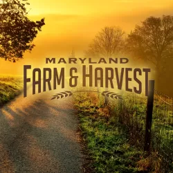 Maryland Farm & Harvest