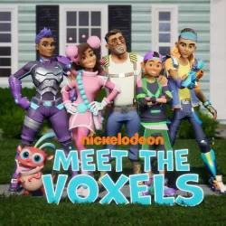 Meet the Voxels