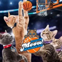 Meow Madness