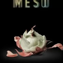 Meso