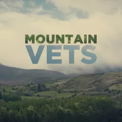 Mountain Vets