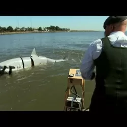 MythBusters Shark Week Special 2