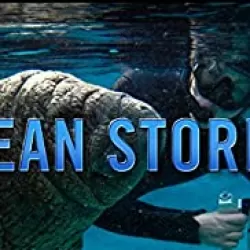 Ocean Stories