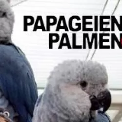 Papageien, Palmen & Co.