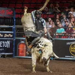 PBR Bull Riding