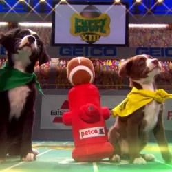 Puppy Bowl XIII