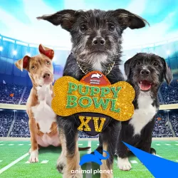 Puppy Bowl XV