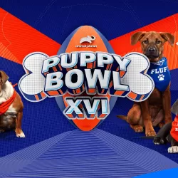 Puppy Bowl XVI Presents