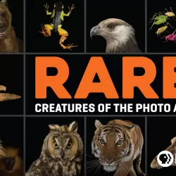 Rare -- Creatures of the Photo Ark