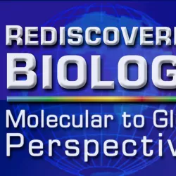 Rediscovering Biology