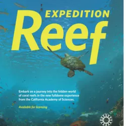 Reef Expeditions