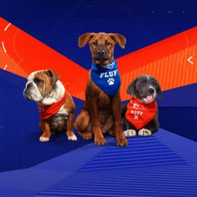 Road to Puppy Bowl