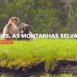 Rockies, as Montanhas Selvagens