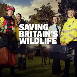 Saving Britain's Wildlife