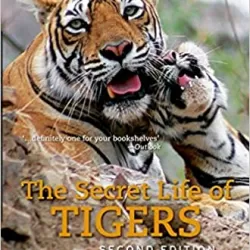 Secret Life of Tigers