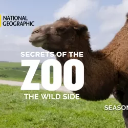 Secrets of the Zoo: The Wild Side