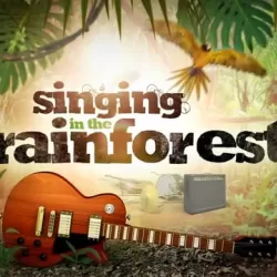 Singing in the Rainforest