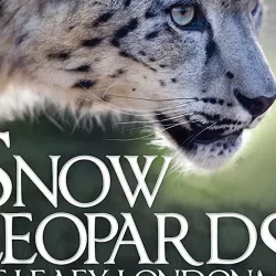 Snow Leopards of Leafy London