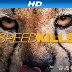 Speed Kills