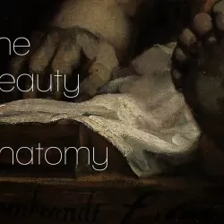 The Beauty of Anatomy