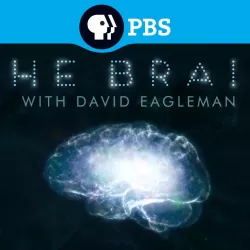 The Brain with Dr. David Eagleman